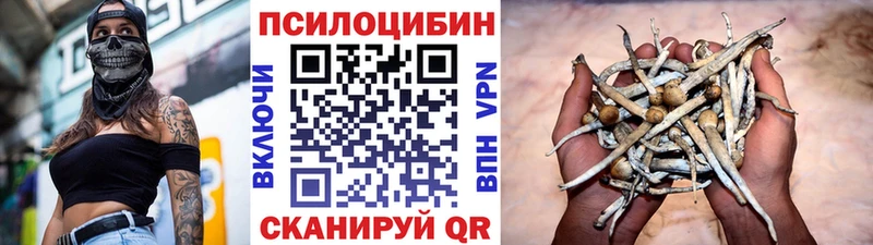 Купить где  Челябинск  Галлюциногенные грибы MAGIC MUSHROOMS 